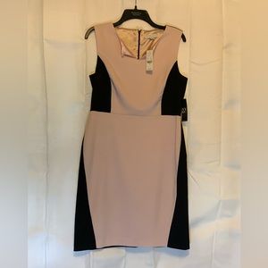 New York & Company, Size 10